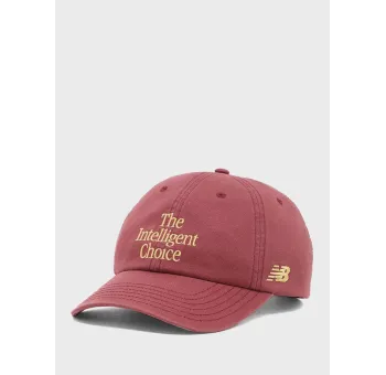 6 Panel The Intelligent Choice Hat