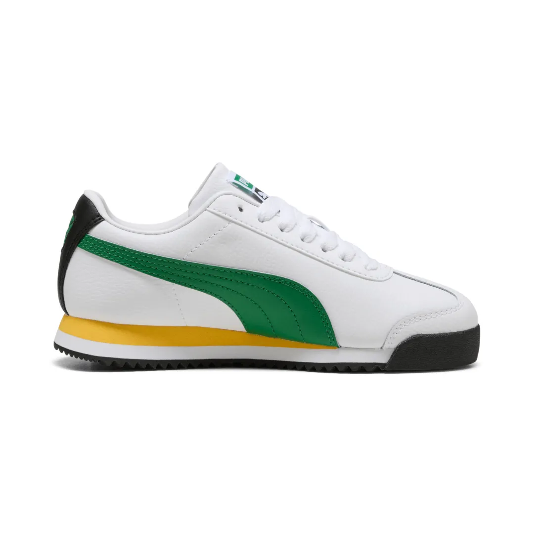 Roma 24 Standard Jr Roma 24 Standard Jr