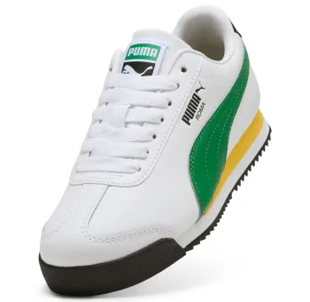 Roma 24 Standard Jr