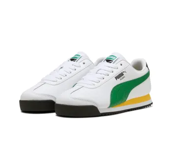 Roma 24 Standard Jr