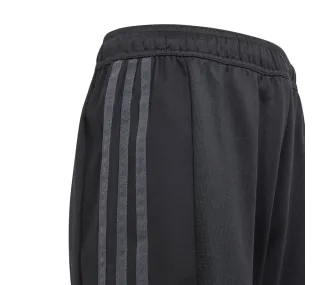 Short Adidas de Qualité Supérieure | Vêtements de Sport