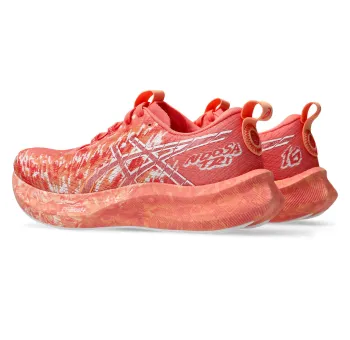 Chaussure de Course NOOSA TRI 16
