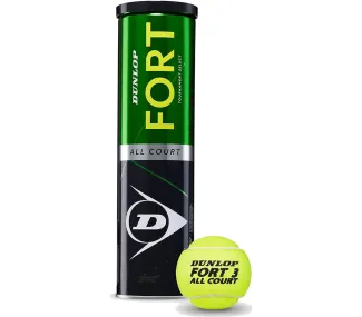 Balles Dunlop Fort All Court (4 balles)